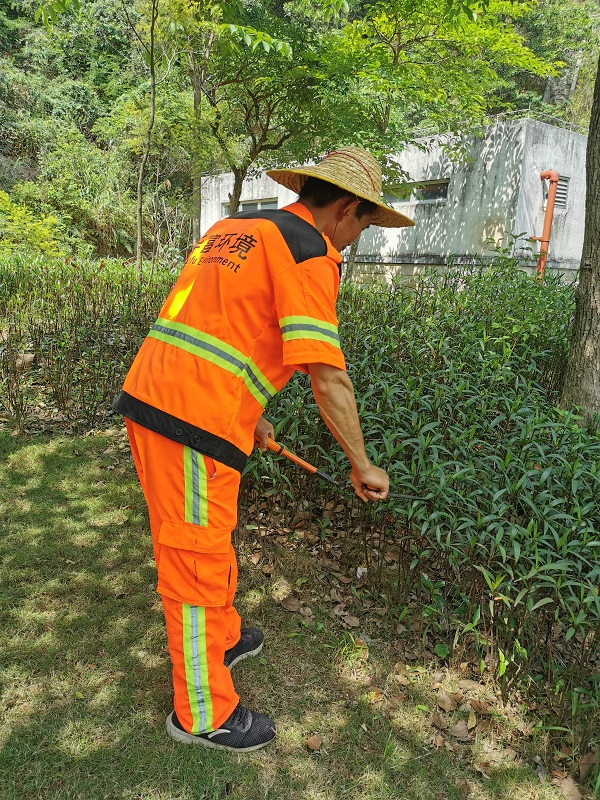 城市环卫绿化服务价格 城市环卫绿化服务价格