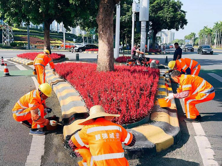 深圳城市环卫绿化管养 深圳城市环卫绿化管养