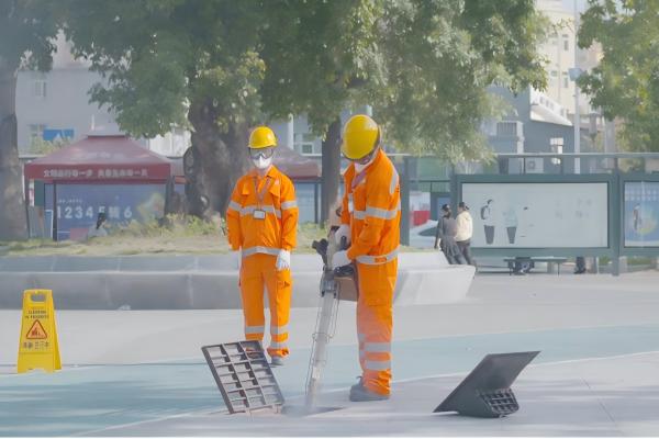 深圳城市绿化养护防治病虫 深圳城市绿化养护防治病虫