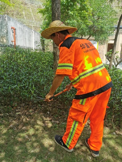 城市环卫绿化管养公司怎么选 城市环卫绿化管养公司怎么选