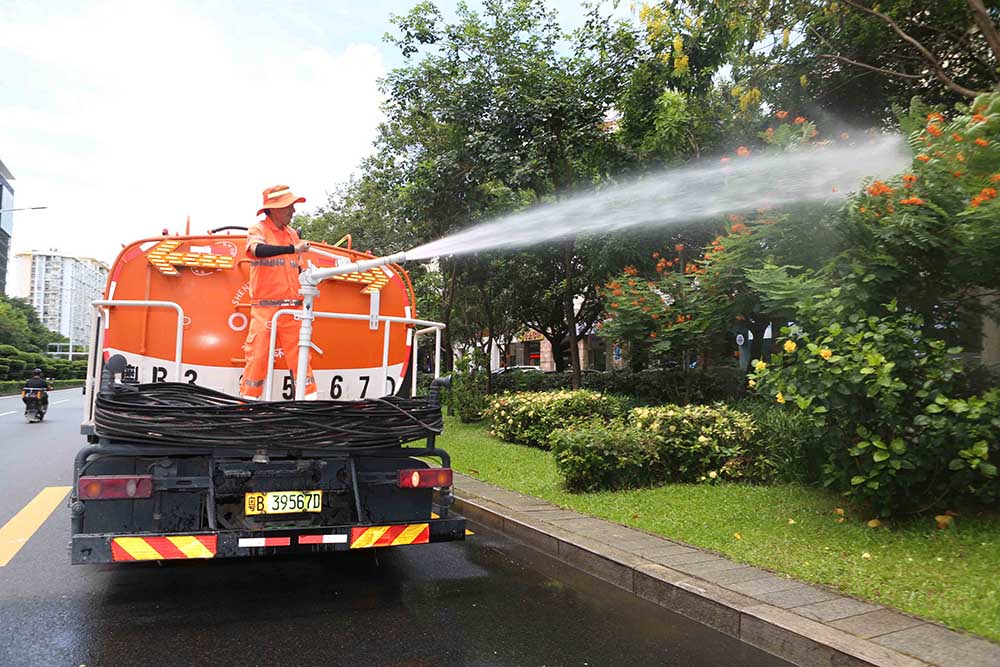 行道树绿化养护有哪些方法 行道树绿化养护有哪些方法